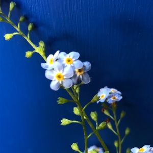 Meet your Posher, Natalee